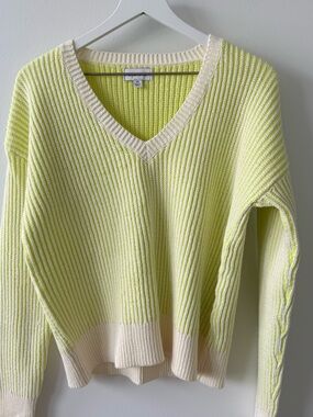Evereve V-Neck Cotton Sweater